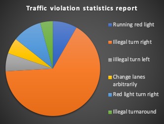 Traffic Violation Statistics Report